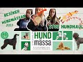 Shoppar loss på Hundmässan 🐶🤑 | Vlogg