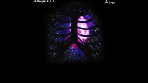 حالات واتس قرانيه قران كريم سوره طه