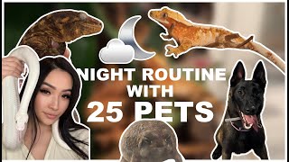Nighttime Routine With 25 Pets
