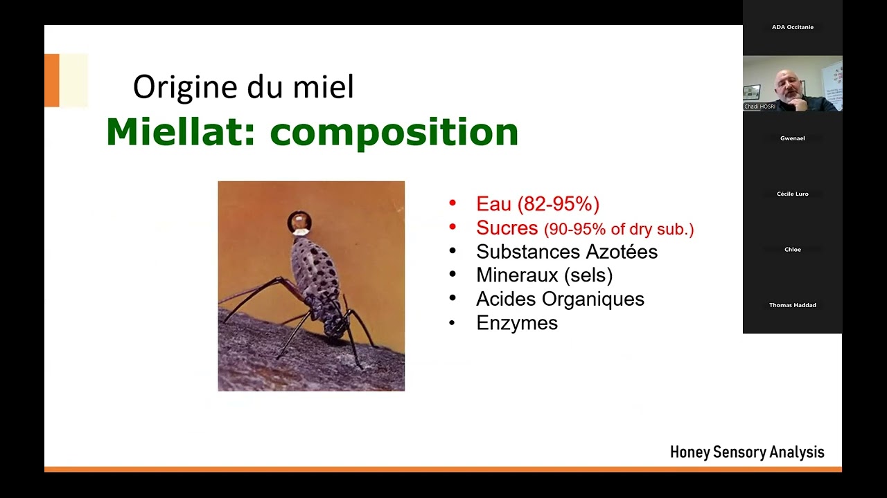Webinaire : Miellat en question : quand et pourquoi les abeilles en trouvent (ou pas) ?