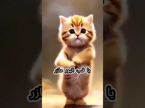 هنا يا قمر يا جميله وسكر اغنيه باسم هنا