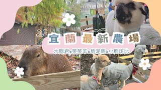 【宜蘭】三間最夯農場大PK l 水岸森林物語 x 張美阿嬤 x 斑比山丘 l 在地人最推哪一個?