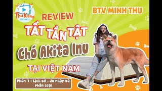 (Tập 1) Review tất tần tật chó AKITA INU  tại VN | Lịch sử, Du nhập, Phân loại  | Thú Kiểng TV