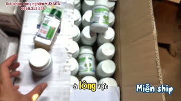 4 Loại Thuốc Trừ Cỏ Lúa Hiệu Quả Nhất 2025 – Diệt Cỏ Từ Mầm Đến Lớn!