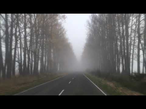 ქარსაცავი