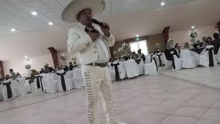 EL JALICIENSE,A PESAR DE TODO Y MUJERES DIVINAS