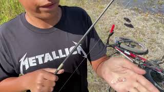 My rig for SHAD FISHING, American river