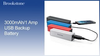 3000mAh/1 Amp USB Backup Battery