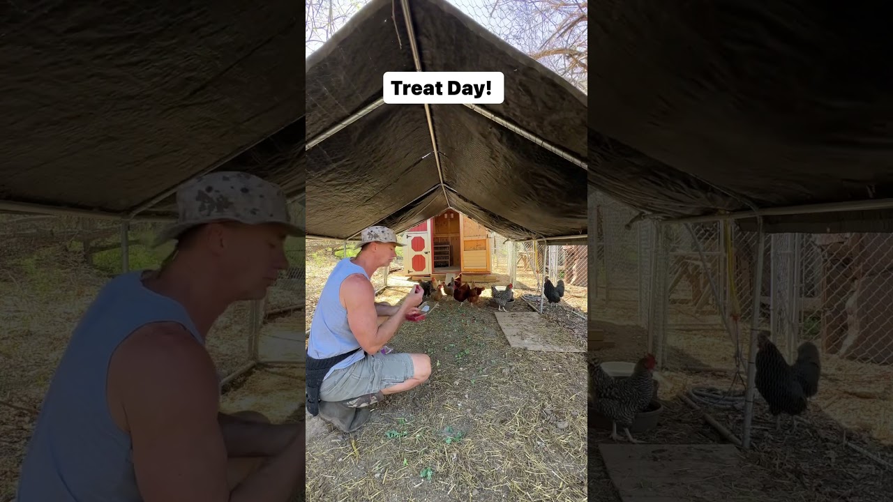 Perfect day to spoil our animals with some treats. 