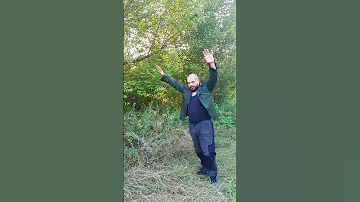 Как нужно защищаться от медведя в лесу