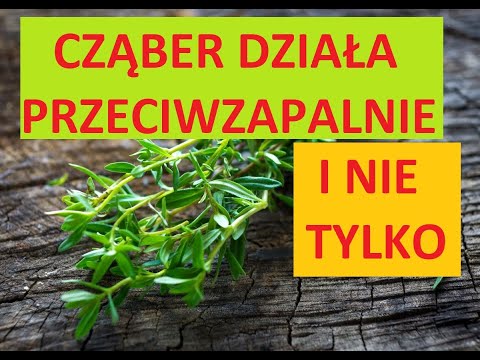 Wideo: Cząber