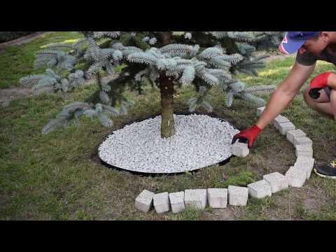 Wideo: Jak Ozdobić Drzewa