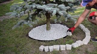 [PRZYTULNY OGRÓD CZ.1] Jak zrobić mały klomb pod drzewem? jak ułożyć kostkę brukową pod drzewem?