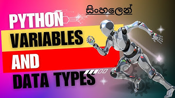 Python සිංහලෙන් - Lesson 06 | Mastering Variables and Data Types #sinhala #ProgramXplorersinhala