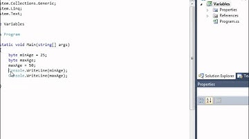 Visual C# 2010 Lesson 2 - Byte and Int Data Types