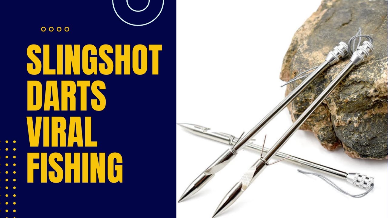 Slingshot Darts Viral Fishing / உண்டிக்கோல் விரால் வேட்டை #slingshot  #fishing #darts 