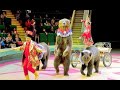 лучшая музыка в цирке, танцы и хэппи the best music at circus, dance  Россия Санкт-Петербург