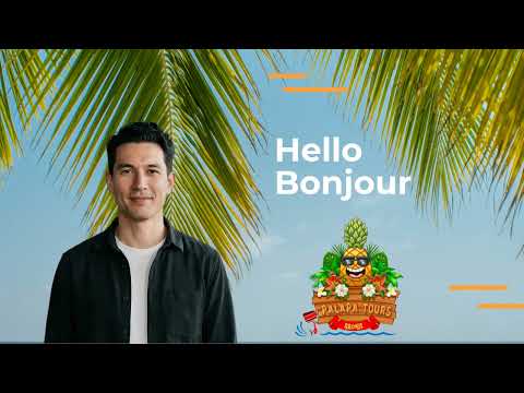 Palapa Briefing English