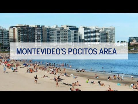A Tour of the Pocitos Area of Montevideo, Uruguay
