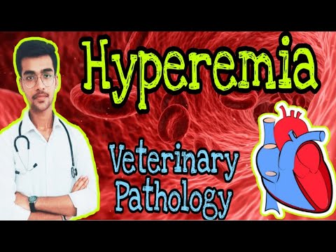 Video: Hyperemie: Definitie, Oorzaken En Verschillende Typen