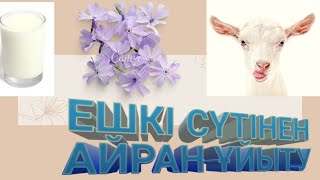 Ешкі сүтінен айран/Кефир из козьего молоко/Нурбиби