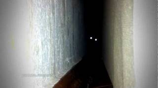 Cehennem Pisiyi Ureyi Zeif Olanlar Baxmasin