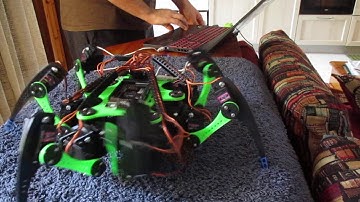 First Walk of my 3d print Hexapod