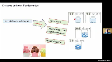 ¿Cuál es la mejor forma de descongelar los alimentos?