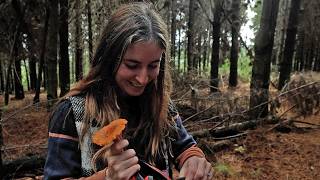 Foraging for Mushrooms in the Victorian Forest: Slow Days in The Otways
