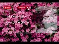 Da Laila Sara Ba Wakm Da Kabul Obaidullah Jan Kandahari ده لېلا سره به وکم ده کابل عبېدالله جان Da Laila Sara Ba Wakm Da Kabul Obaidullah Jan Kandahari ده لېلا سره به وکم ده کابل عبېدالله جان