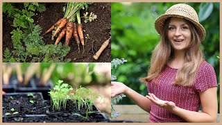 15 Gemüse, die du im September noch säen und pflanzen kannst!