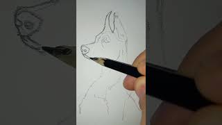 dog رسم_بالرصاص art comedy cartoon fyp 2pac drawing رسم_سهل @rasmrasm @el-maarifa570