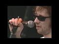 The pogues   pinkpop 95