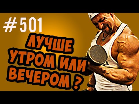 когда лучше тренироваться утром или вечером