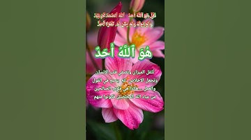 سورة الاخلاص#الله#allah#كفى_ذنوب#كفى#اكسبلور#غزة#شفاء_الروح#سكينة_الروح#كلام_من_ذهب#كلام_الخالق#usse