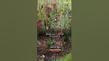 ما تيسر من سوره ابراهيم #اكسبلور #explore #قرآن #تيك_توك #لايك #ترند #راحة_نفسية #حالات_واتس #cover