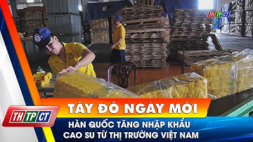Hàn Quốc tăng nhập khẩu cao su từ thị trường Việt Nam| Cần Thơ TV