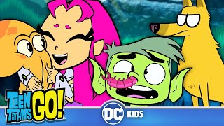 Animal Instincts!  | Teen Titans Go! | @dckids