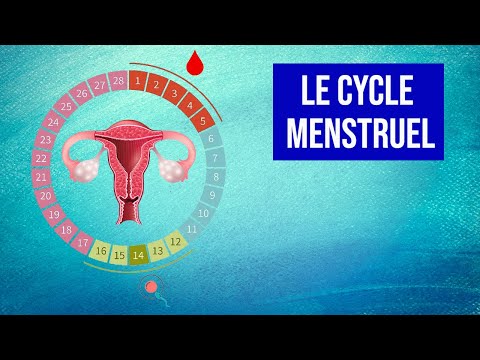 Vidéo: Comment calculer la mensualité ? Calendrier menstruel, cycle menstruel - informations complètes pour les femmes
