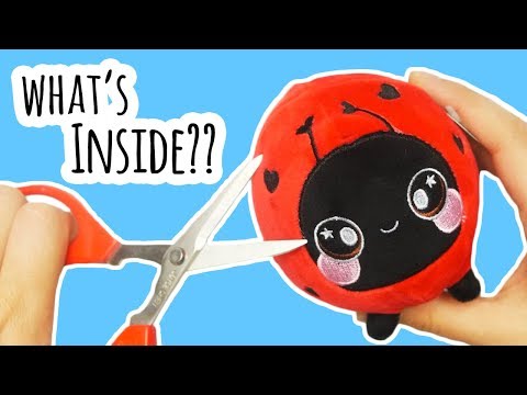 Cutting Open a Squeezamal | What's Inside?