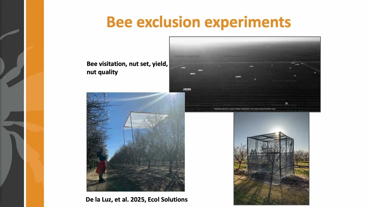 Honey Bees and Pollination