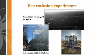 Honey Bees and Pollination