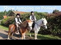 Our first show jumping event on the ponies