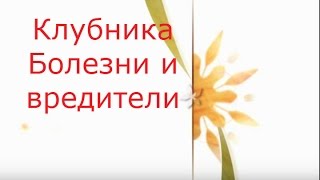 Клубника.  Болезни и вредители.Лечение и борьба