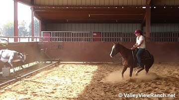 Rockin N Playin - working the flag #1! - ValleyViewRanch.net