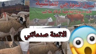 اليوم من سوق خميس مديونة مع ثمن حولي عيد الأضحى يونيو 2023