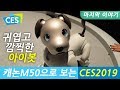 [CES 2019 부스 구경 3탄] 캐논M50으로 찍은 캐논, 니콘, 소니, 화웨이, 자동차 부스등 마지막 투어 시작합니다! [디셈버의 브이로그]