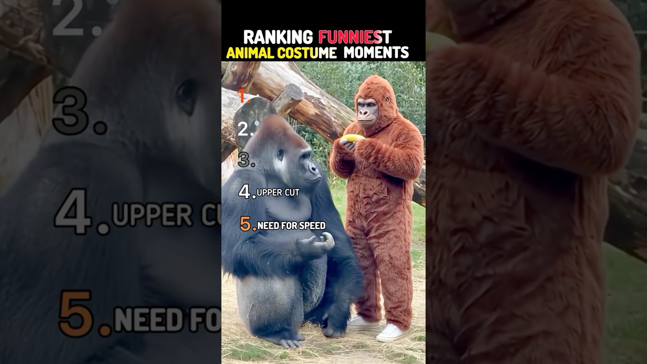 Ranking funniest Animal Costume Moments 😂😂 #short