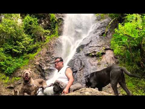 Mastin Napolitano en Cascada ‘Aquiles-Kahlesi-Atenea’ Guatemala