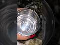 Vlog #viral #vlog #minivlog #shorts #youtubeshorts #reels
